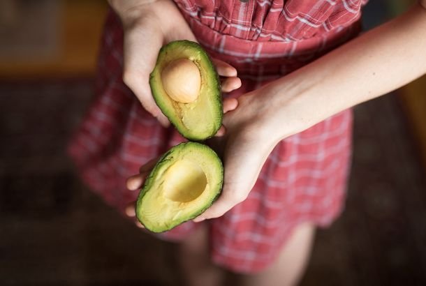 avocado come raccogliere conservare e maneggiare il frutto perfetto